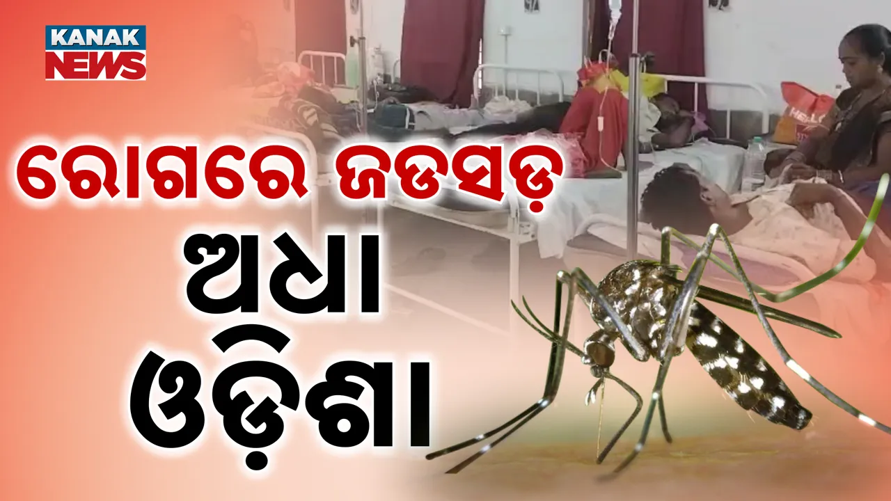  MALARIA ODISHA Photograph: (KANAK NEWS) 
