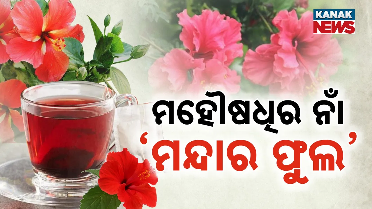  Hibiscus Photograph: (kanakNews) 