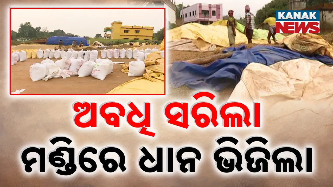  ଟୋକନ ଅବଧି ସରିବା ପରେ ବି ମଣ୍ଡିରେ ଜମା ଗଦା ହୋଇଛି ଧାନ, ଉଦା ଓ ଗଜା ଧାନ ମଣ୍ଡିରେ ପକାଇ ବସିଛନ୍ତି ଚାଷୀ
