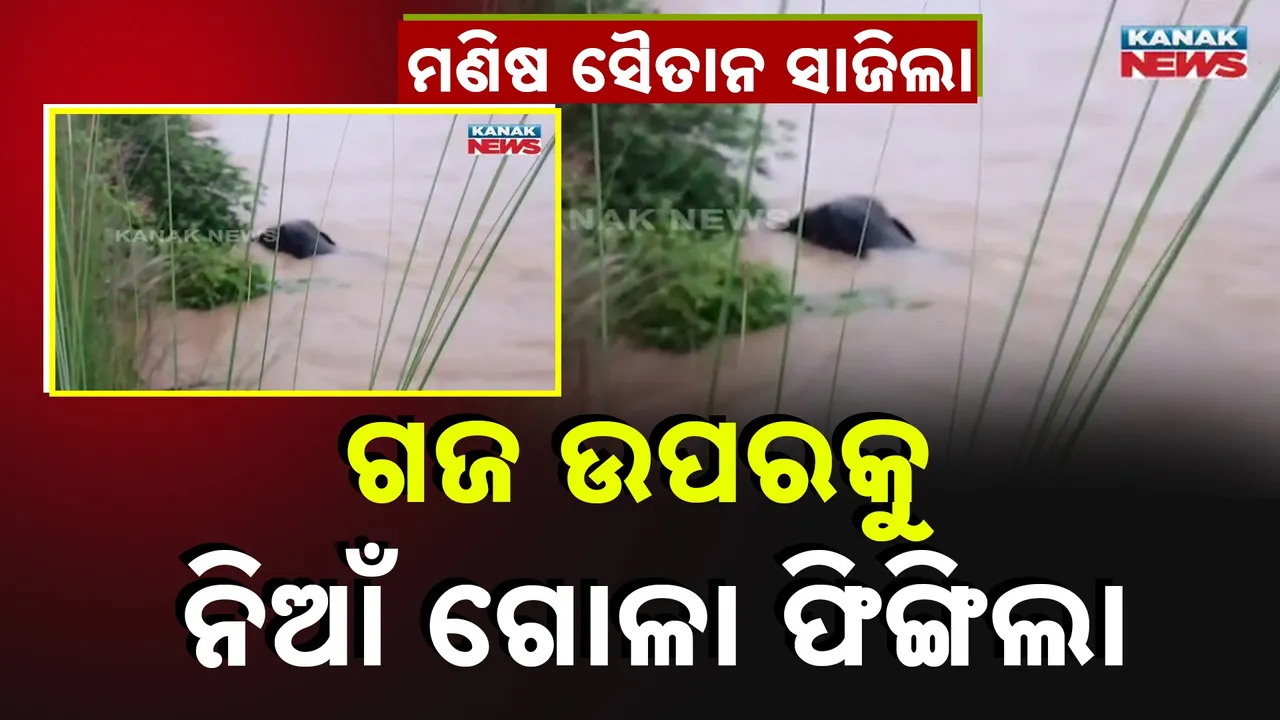  KANAK NEWS 