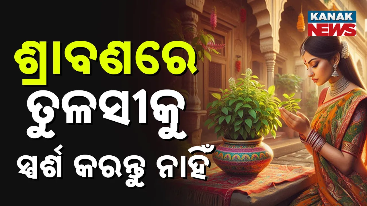  ତୁଳସୀକୁ ସ୍ପର୍ଶ କରନ୍ତୁ ନାହିଁ Photograph: (KanakNews) 