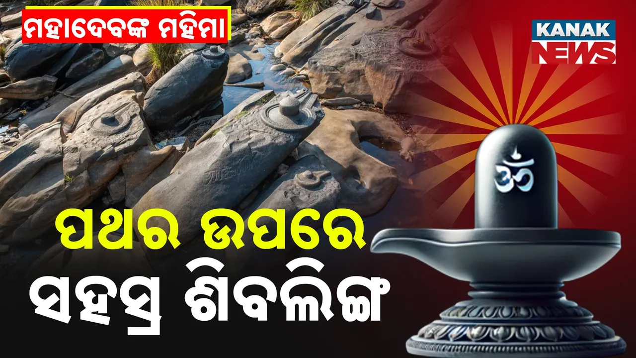  Sahasralinga Photograph: (KanakNews) 