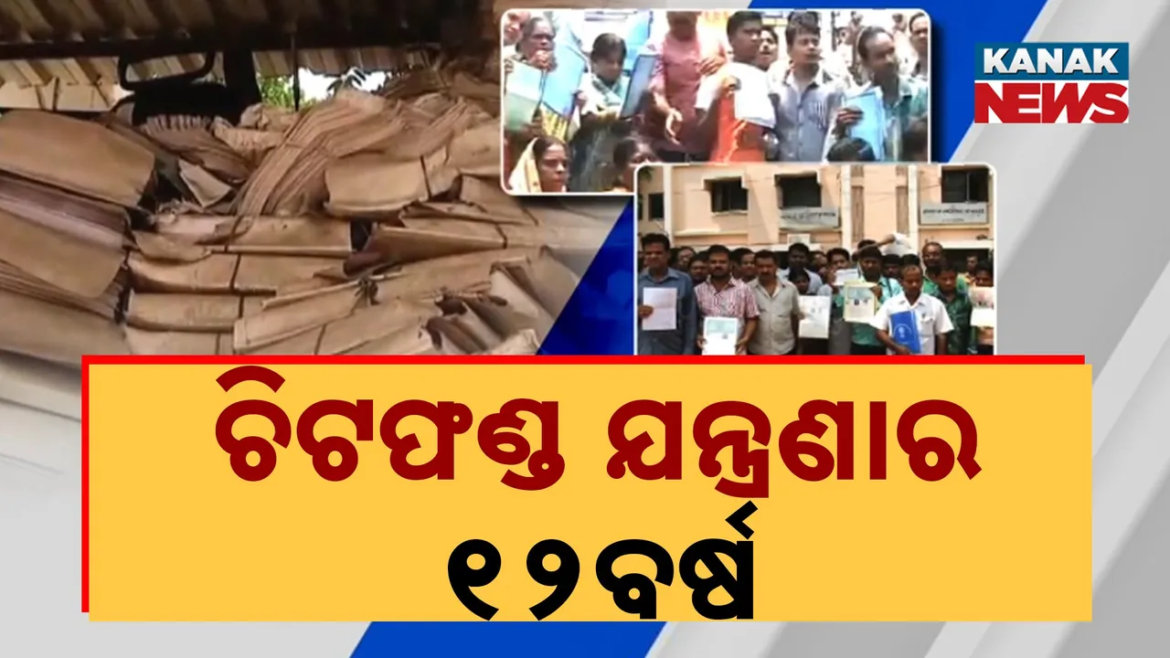  Photograph: (kanaknews) 