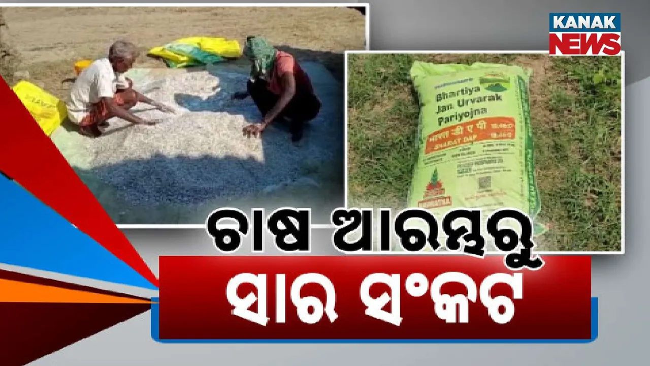  No Fertilizer for Farmer Photograph: (KANAK NEWS) 
