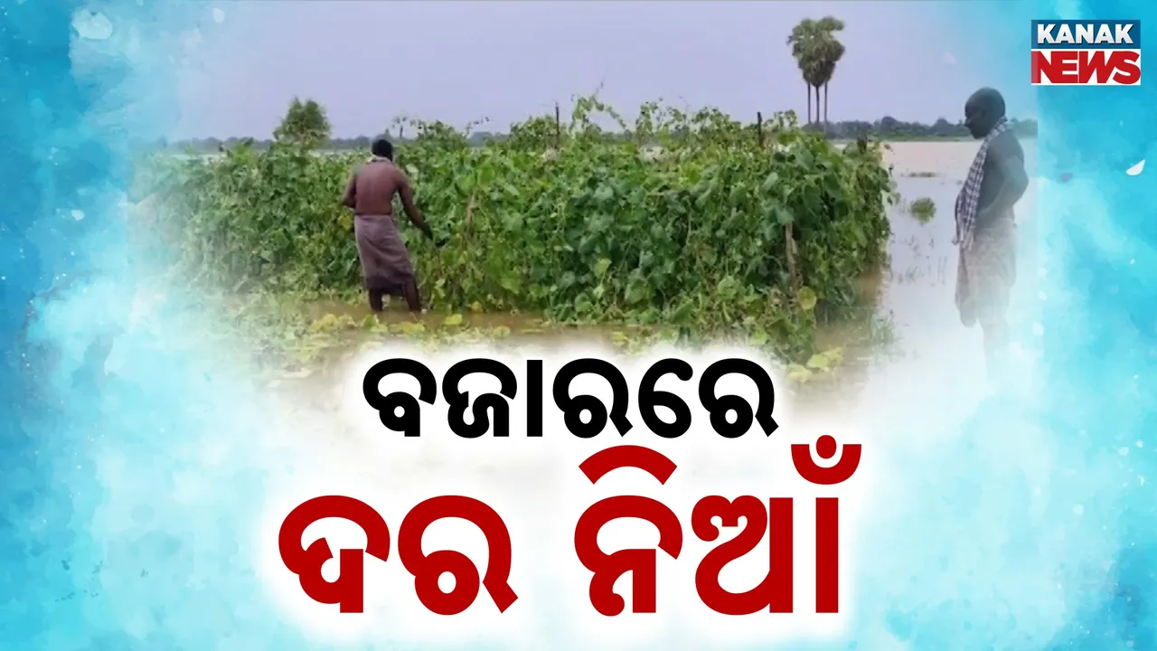  Photograph: (Kanak News) 