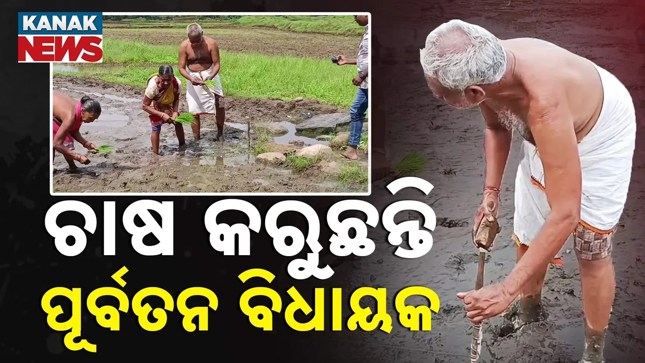 ରାଜନେତାଙ୍କ ପାଇଁ ଉଦାହରଣ ପାଲଟିଛନ୍ତି ଏହି ପୂର୍ବତନ ବିଧାୟକ, ପରିଣତ ବୟସରେ ମଧ୍ୟ ବିଲକୁ ଯାଇ କରୁଛନ୍ତି ଚାଷ