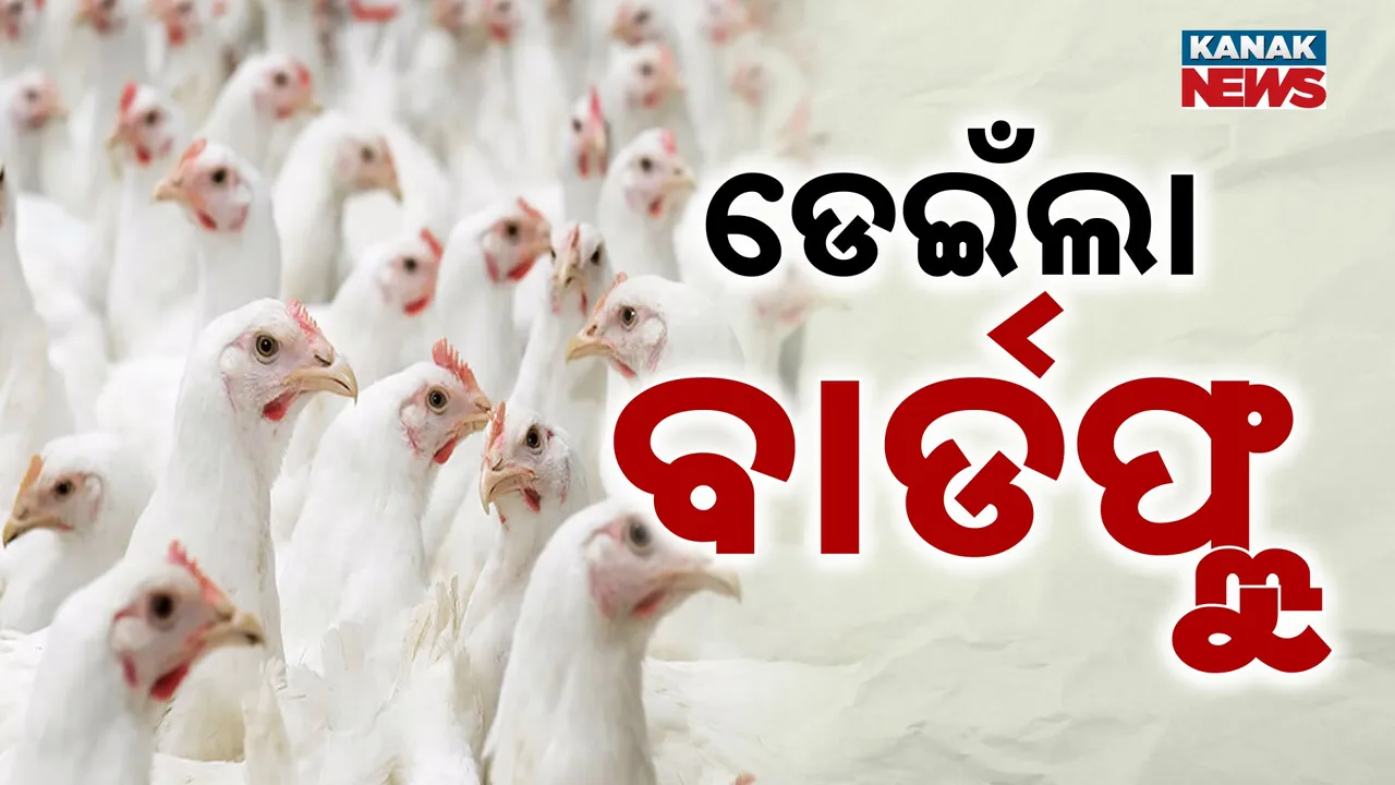  Photograph: (Kanak News) 