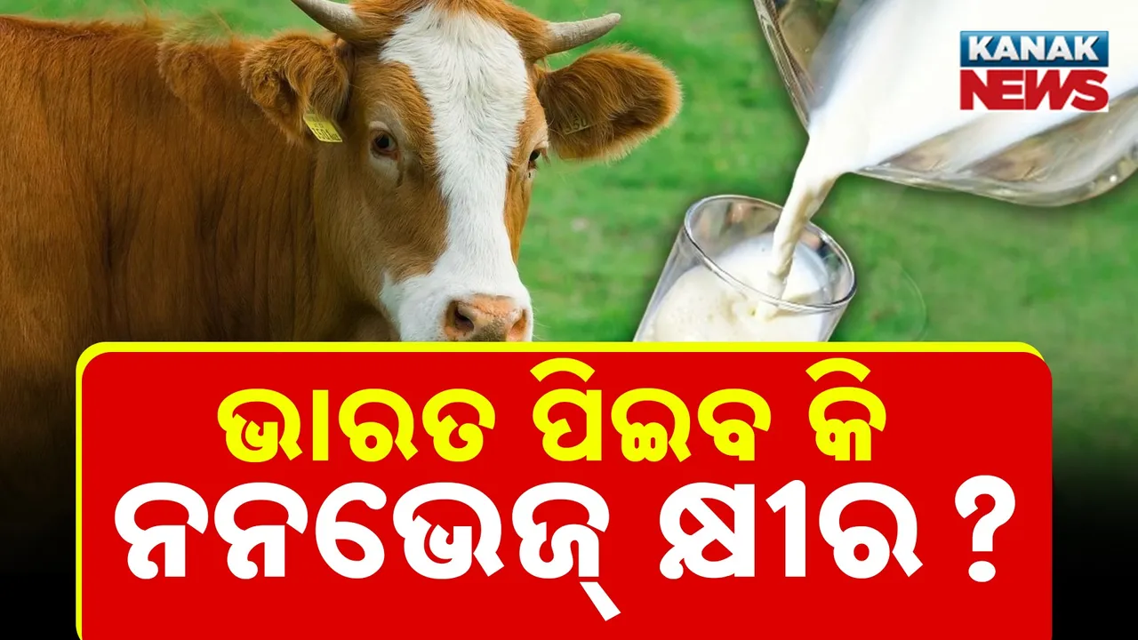  Milk Photograph: (kanaknews) 