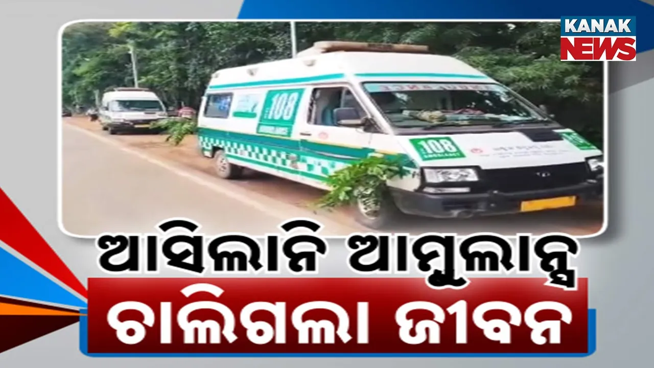  Photograph: (kanak news) 