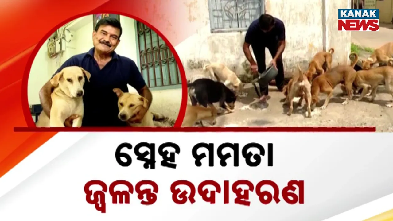  ବୁଲା କୁକୁରଙ୍କ ଭୋକ ବୁଝିପାରୁଥିବା କଟକର ନିଆରା ଦମ୍ପତି, ୧୭ ବର୍ଷ ଧରି ଜୀବଜନ୍ତୁଙ୍କ ସେବାରେ ସମର୍ପିତ