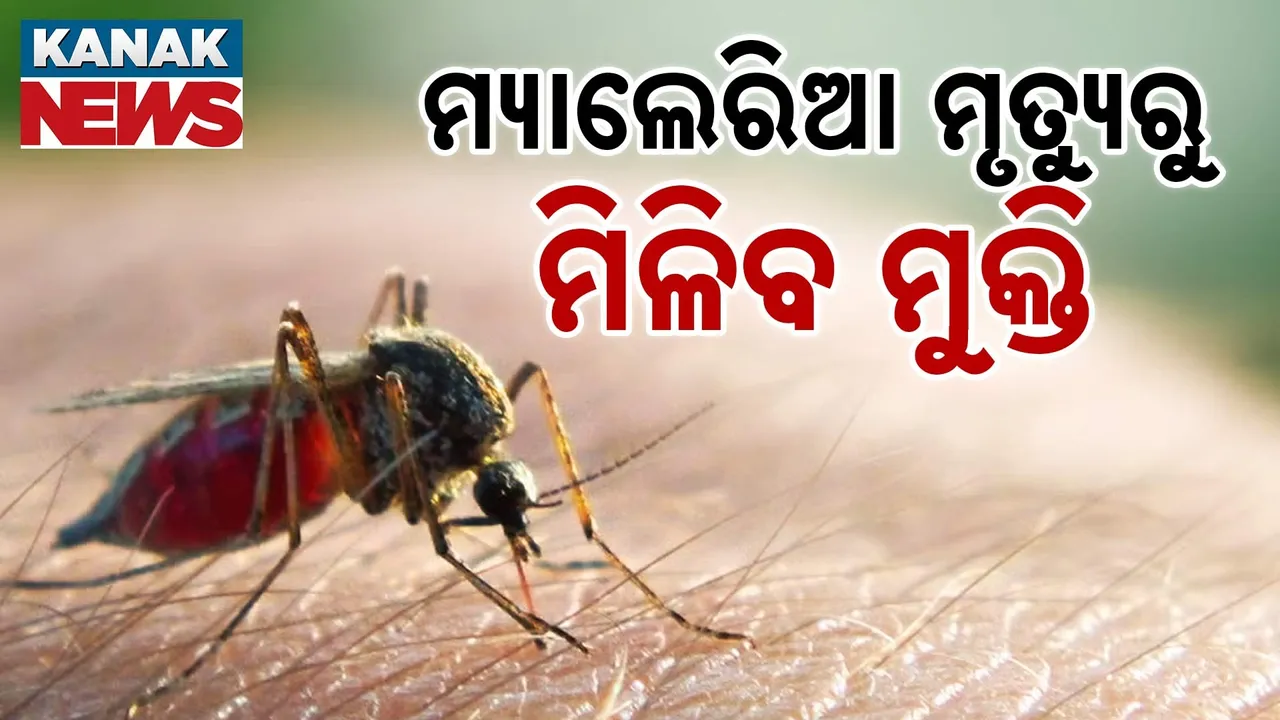 ଅକାଳରେ ଝଡ଼ିବନି ଶୈଶବ, ମ୍ୟାଲେରିଆରୁ ନବଜାତକଙ୍କୁ ମିଳିବ ମୁକ୍ତି
