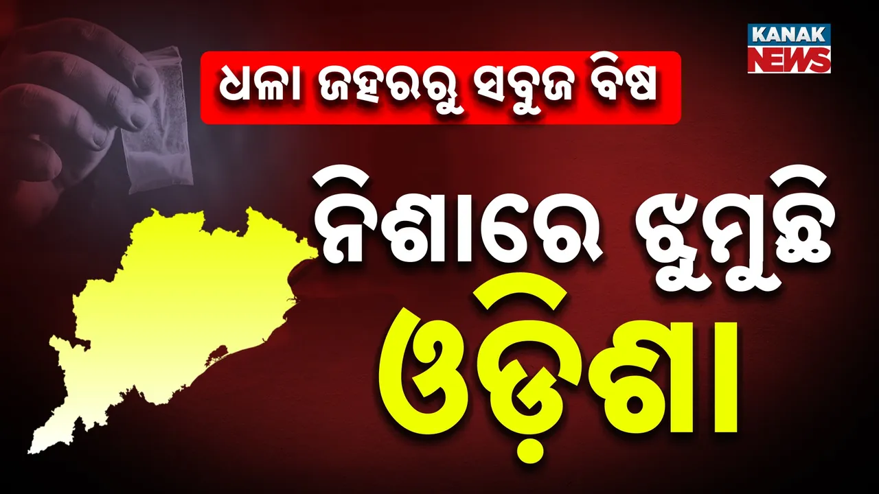  kanak news 