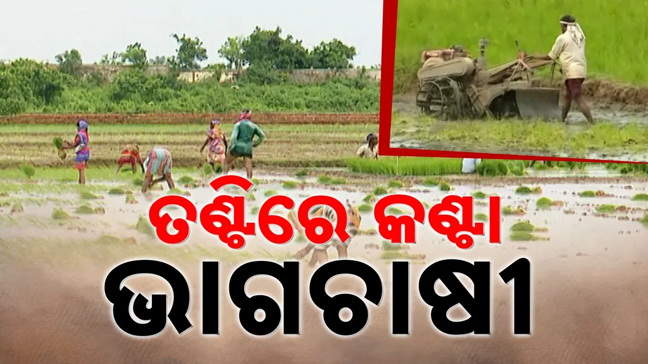  ମୋହନ ସରକାର ତଣ୍ଟିରେ ଭାଗଚାଷୀ କଣ୍ଟା ; ଚାଷୀ ପଞ୍ଜୀକରଣ ନେଇ ବଢ଼ିଲା ଅଡ଼ୁଆ