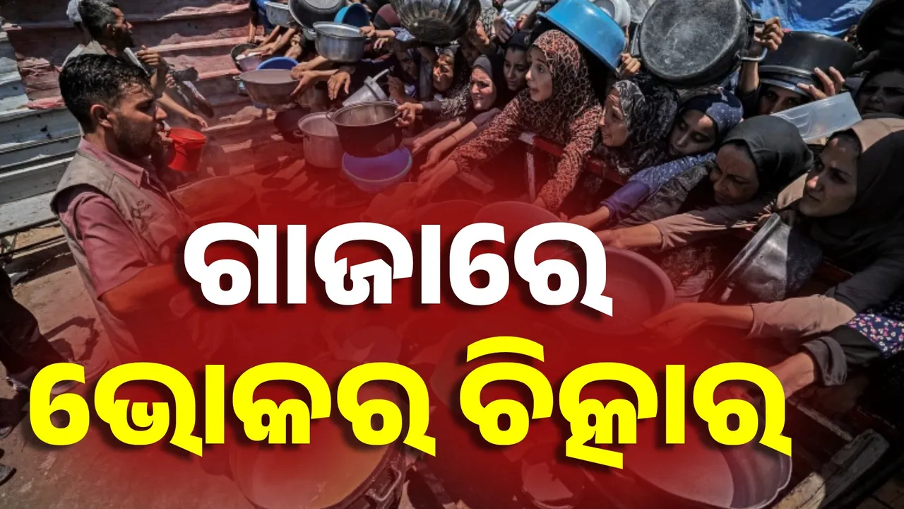  ଗାଜାରେ ଶୁଣାଗଲାଣି ଭୋକର ଚିତ୍କାର, ଲୋକଙ୍କୁ ସମ୍ଭାଳିବା ମୁସ୍କିଲ୍‌ ହେଲାଣି