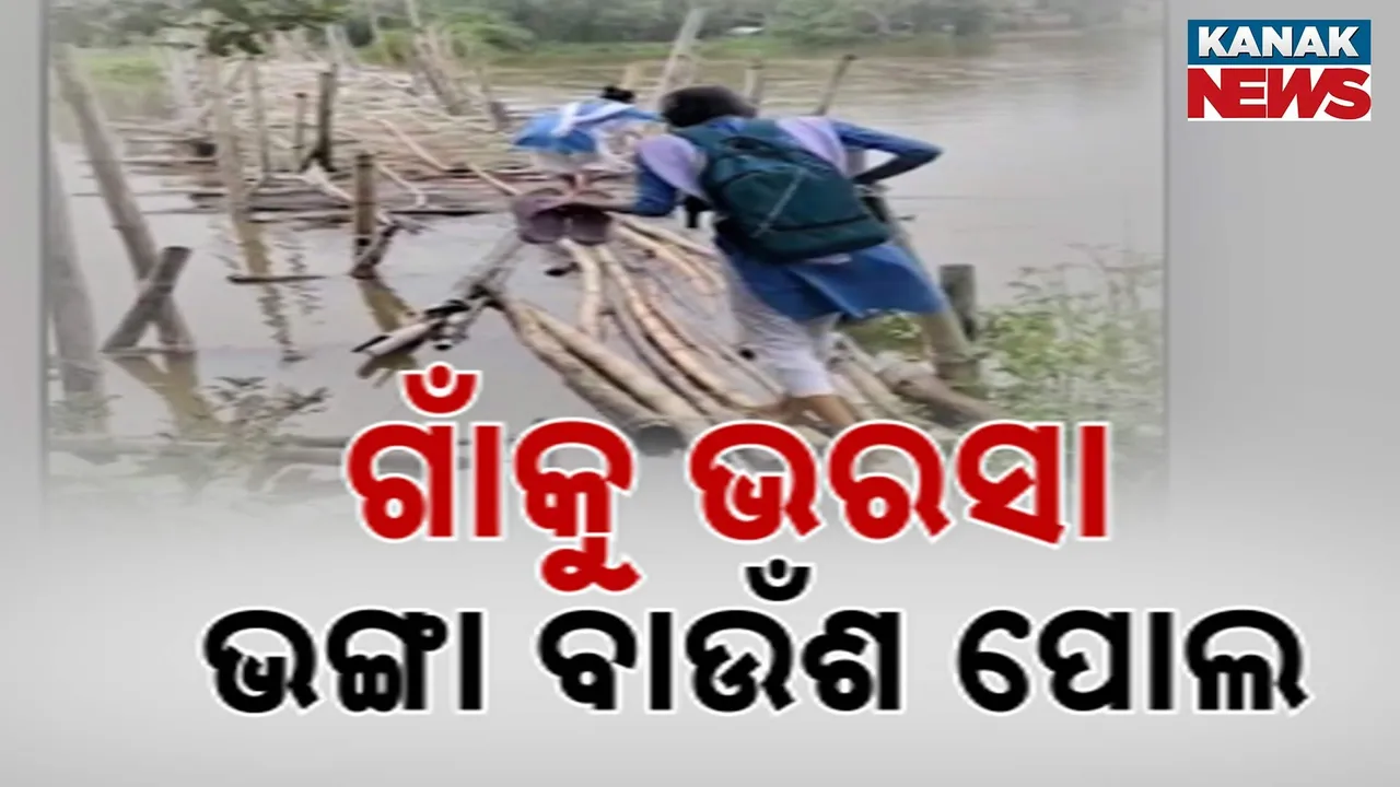  ଗାଁକୁ ଭରସା ଭଙ୍ଗା ବାଉଁଶ ପୋଲ Photograph: (KanakNews) 