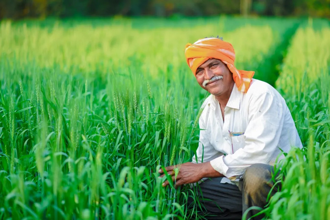  farmer Photograph: (kanak news) 