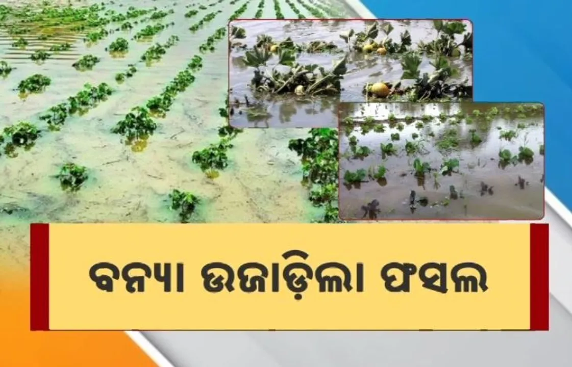  FLOOD ODISHA Photograph: (KANAK NEWS) 