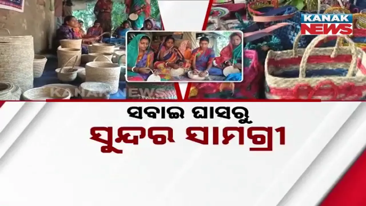  ସବାଇ ଘାସ Photograph: (KanakNews) 