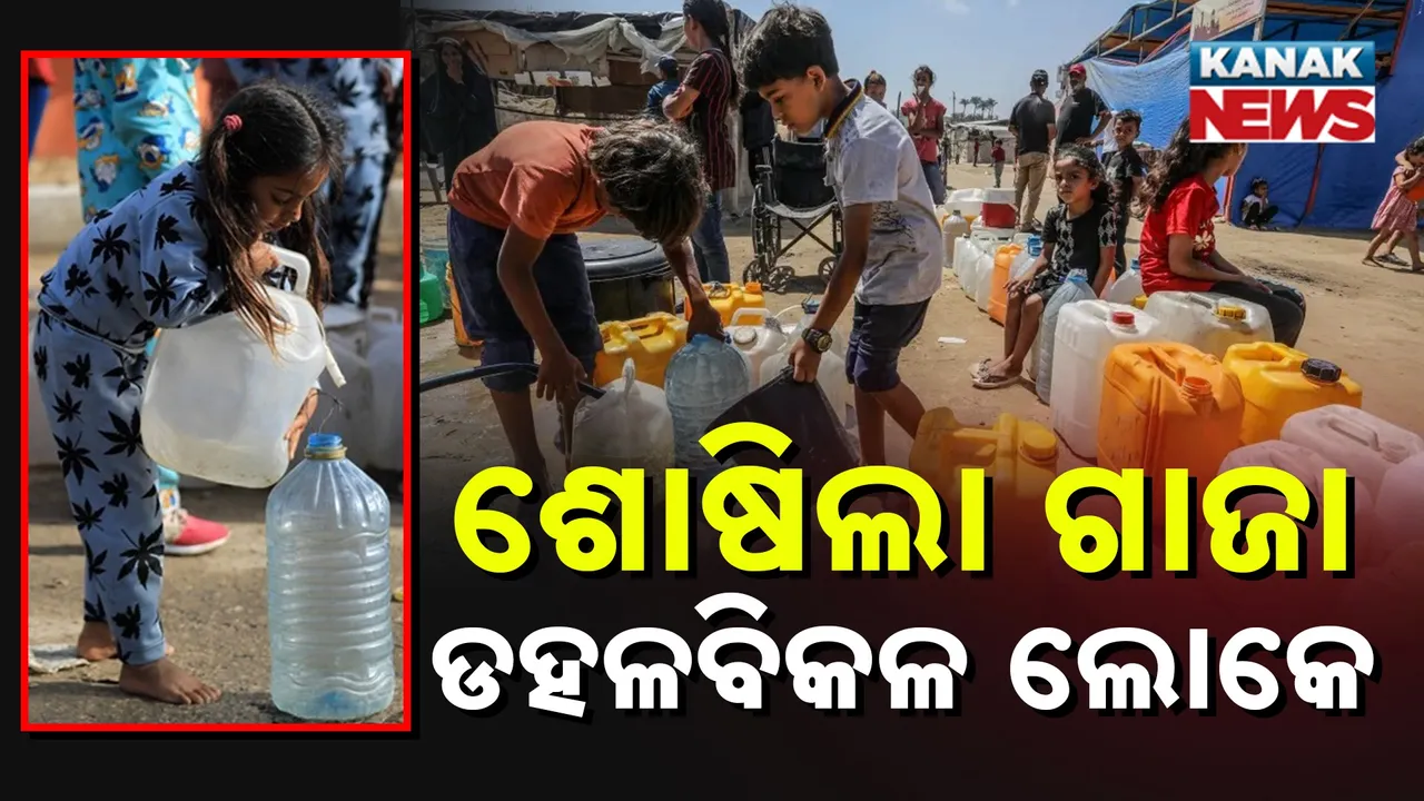  ଶୋଷିଲା ଗାଜା Photograph: (KanakNews) 