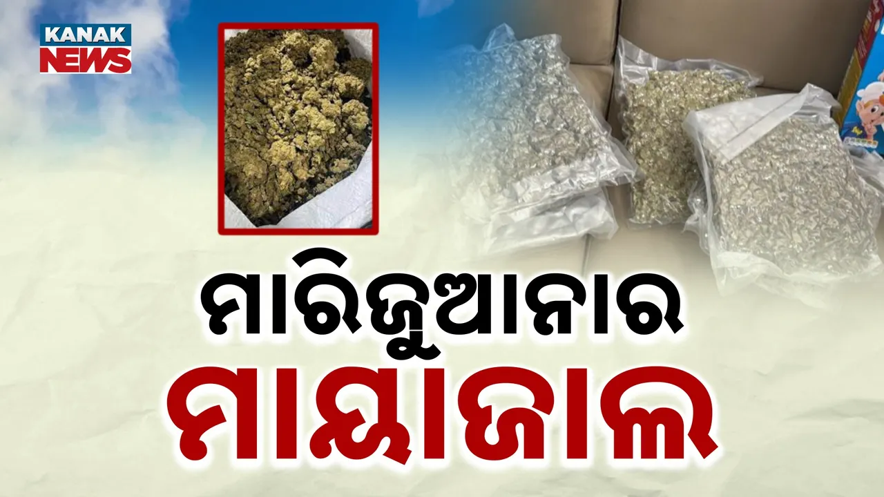  ମାରିଜୁଆନାର ମାୟାଜାଲ: ବିଷ ବୁଣୁଛି ବ୍ୟାଙ୍କକ୍‌, ବାୟା ହେଉଛନ୍ତି ଛାତ୍ରଛାତ୍ରୀ