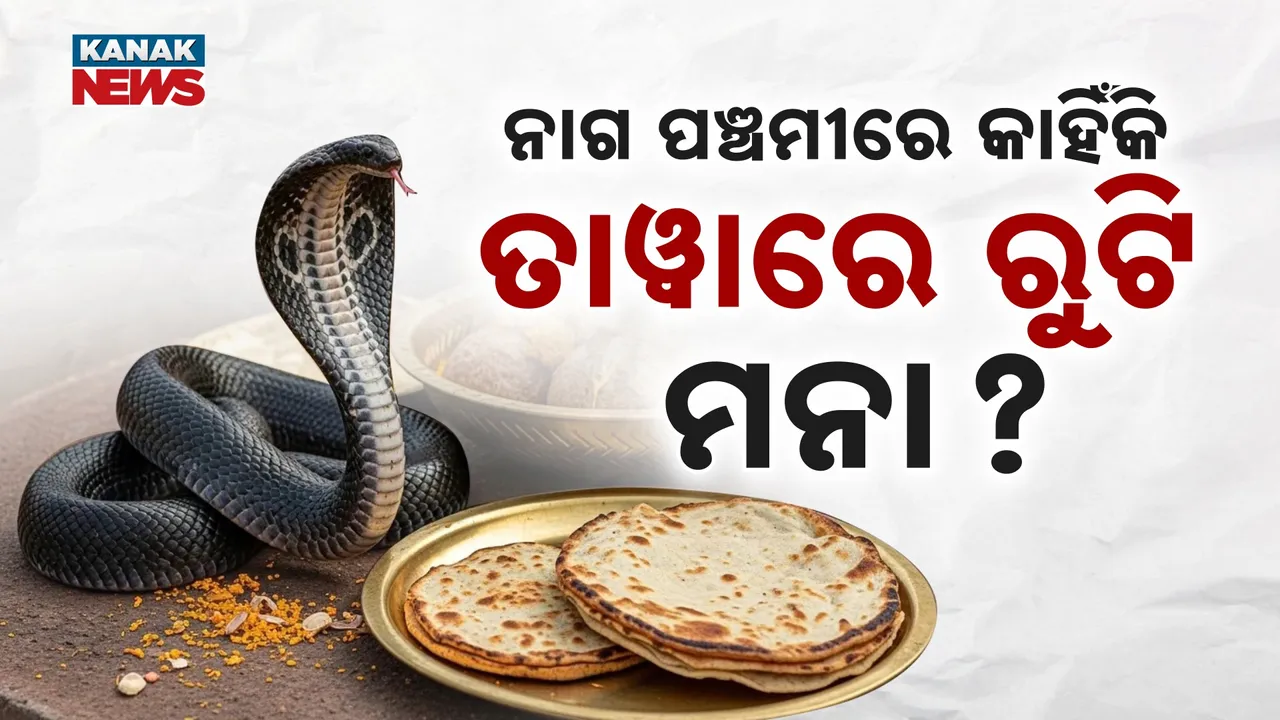  ନାଗ ପଞ୍ଚମୀରେ ତାୱାରେ ରୁଟି ମନା  କାହିଁକି ? Photograph: (KanakNews) 