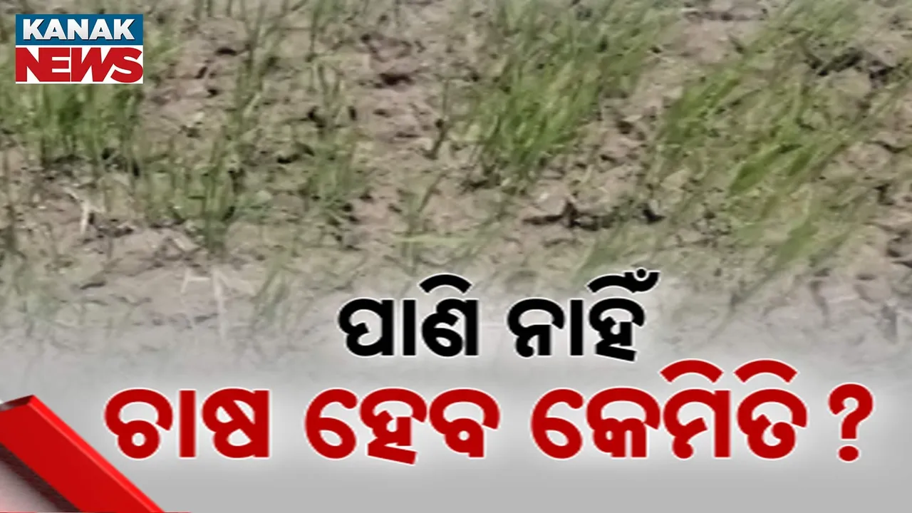  ନାକେଦମ୍ କଲାଣି ବର୍ଷା ; କେଉଁଠି କେଞ୍ଚାଏ ତ କେଉଁଠି ମେଞ୍ଚାଏ