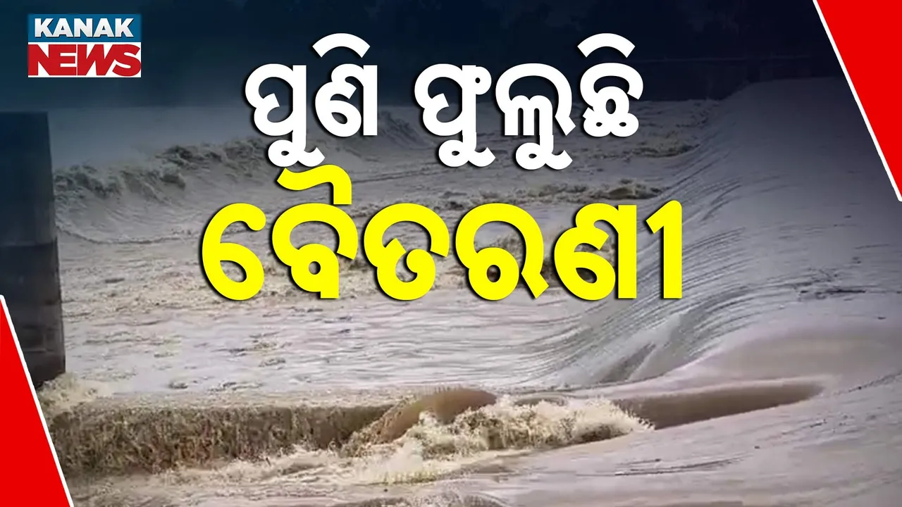  ପୁଣି ଫୁଲୁଛି ବୈତରଣୀ ; ବିପଦ ସଙ୍କେତ ଉପରେ ବହୁଛି ପାଣି
