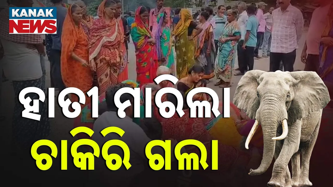  ହାତୀ ମାରିଲା ଚାକିରି ଗଲା ; ଢେଙ୍କାନାଳ ହିନ୍ଦୋଳରେ ଦୁଇ ବନ ବିଭାଗ କର୍ମଚାରୀ ନିଲମ୍ବିତ
