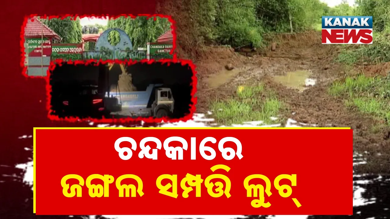  CHANDAKA Photograph: (KANAK NEWS) 