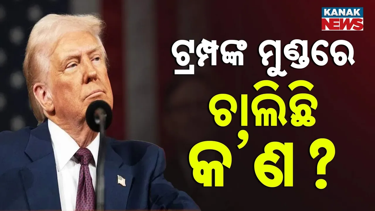  Donald Trump Photograph: (KanakNews) 