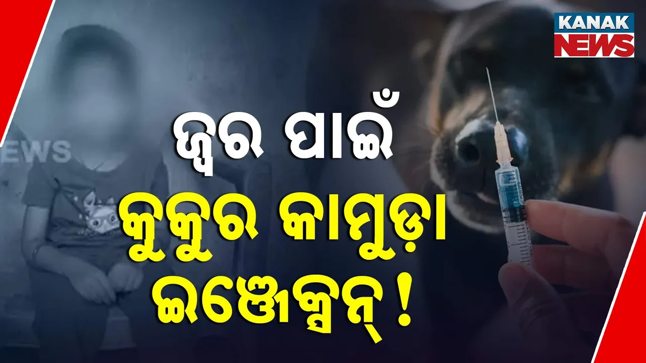  ଜ୍ବର ହୋଇଥିବା ପିଲାକୁ  କୁକୁର କାମୁଡ଼ା ଇଞ୍ଜେକ୍ସନ୍ ; ପଚାରିବାରୁ ରାଗରେ ପ୍ରେସକ୍ରିପସନ୍ ଚିରିଦେଲେ ଡାକ୍ତର