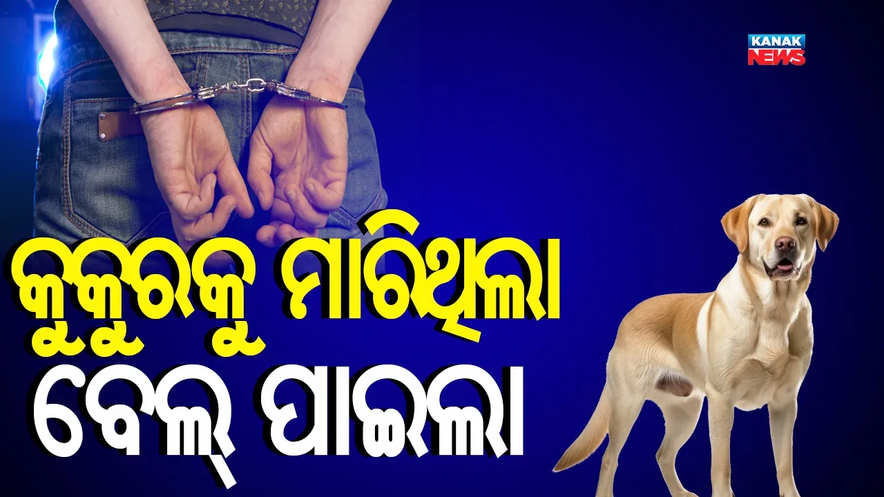  Dog Dead Photograph: (Kanak News) 