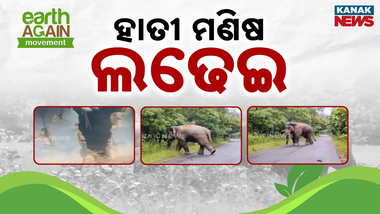  Human-Elephant Conflicts Rising Photograph: (Kanak News) 