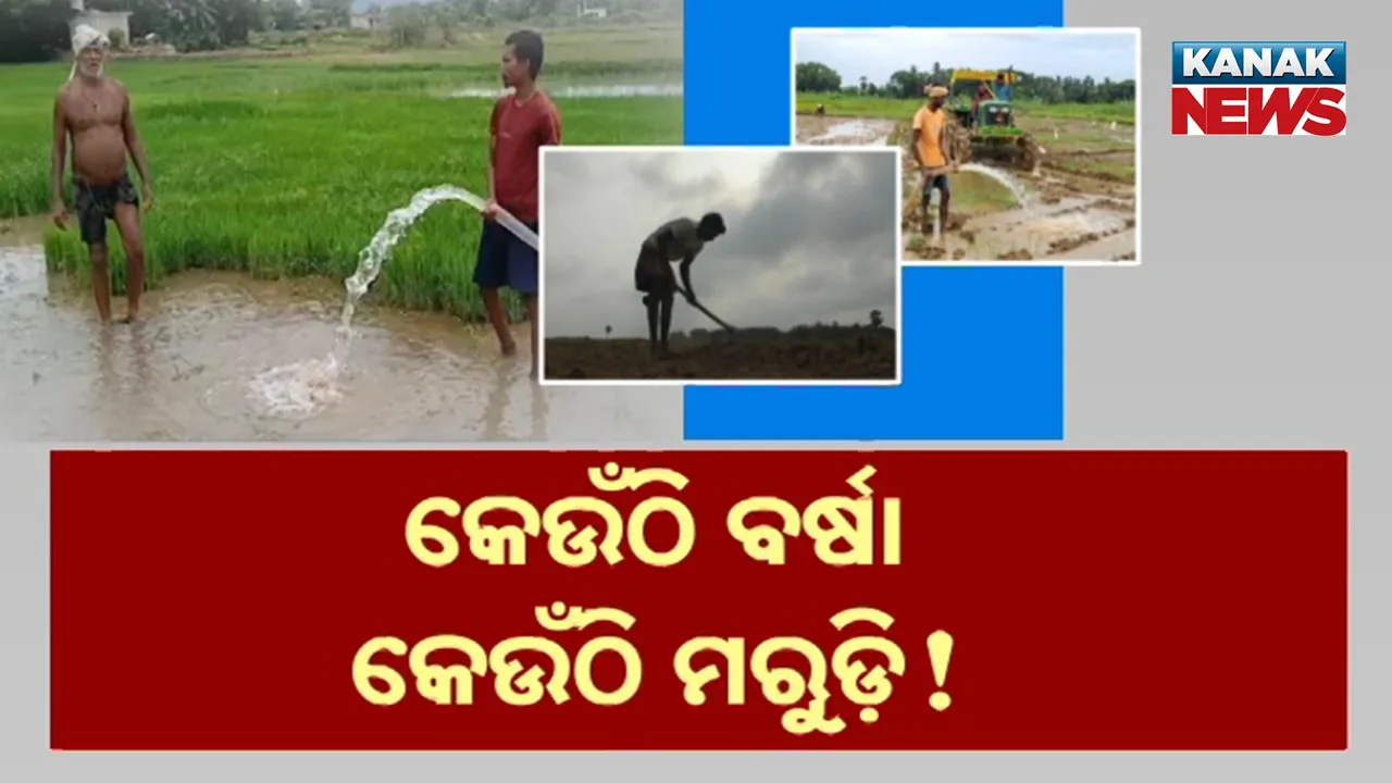  RAIN Photograph: (KANAK NEWS) 