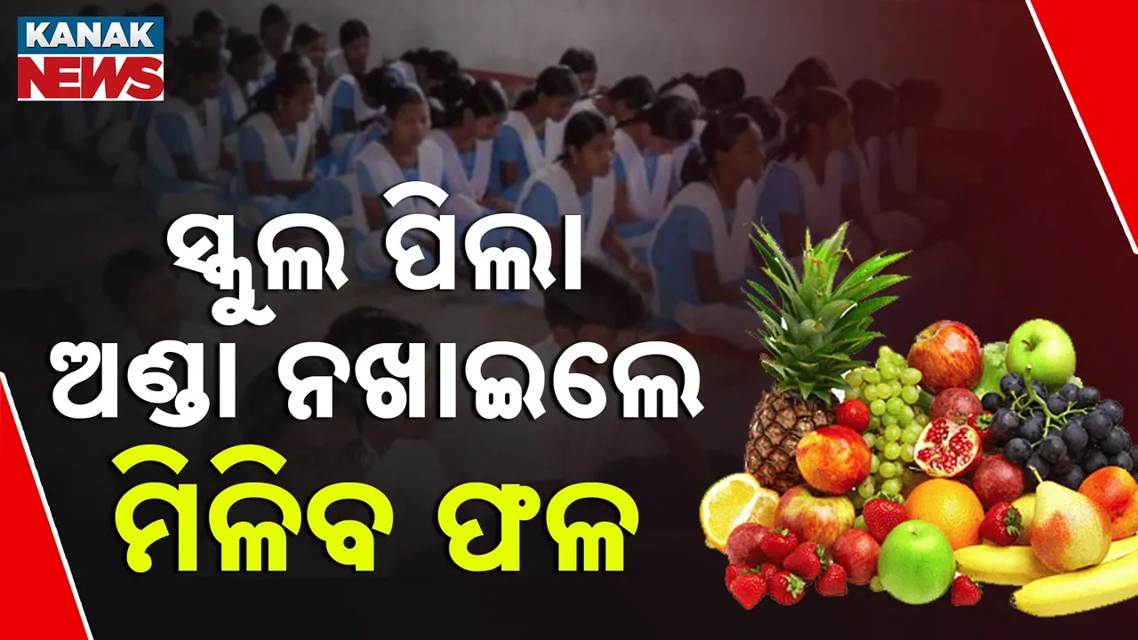  ନିରାମିଷ ସ୍କୁଲ ପିଲାଙ୍କ ପାଇଁ ଖୁସି ଖବର ; ଅଣ୍ଡା ନଖାଇଲେ ମିଳିବ ଫଳ
