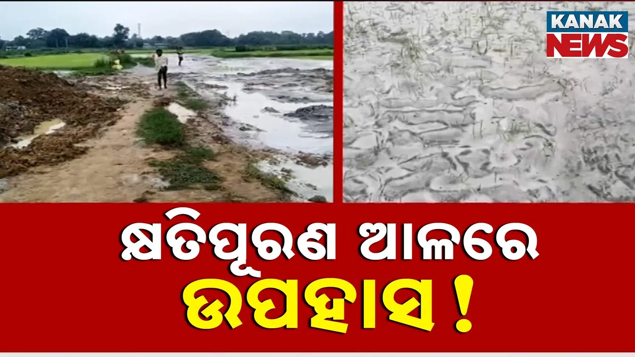  ଚାଷ ଜମିରେ ମାଡ଼ିଗଲା ପାଉଁଶ ; କ୍ଷତିପୂରଣ ଆଳରେ ଚାଷୀଙ୍କୁ ଉପହାସ !