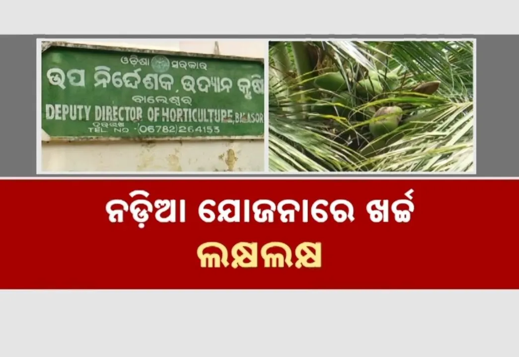  Photograph: (kanak news) 