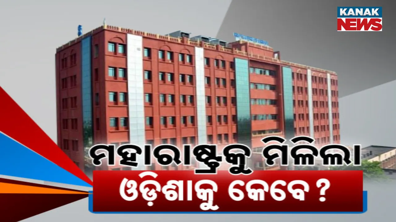  odisha high court bench Photograph: (KANAK NEWS) 