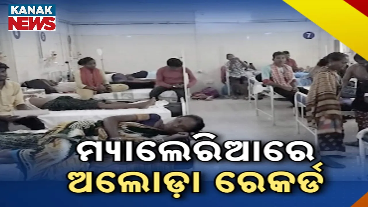 ଚିନ୍ତା ବଢାଇଲାଣି ମ୍ୟାଲେରିଆ ସଂକ୍ରମଣ, ମାଲକାନାଗିରି ପରେ ଏବେ ଅନୁଗୁଳ, ରାୟଗଡ଼ା ଓ କନ୍ଧମାଳରେ ଅସମ୍ଭାଳ ସ୍ଥିତି