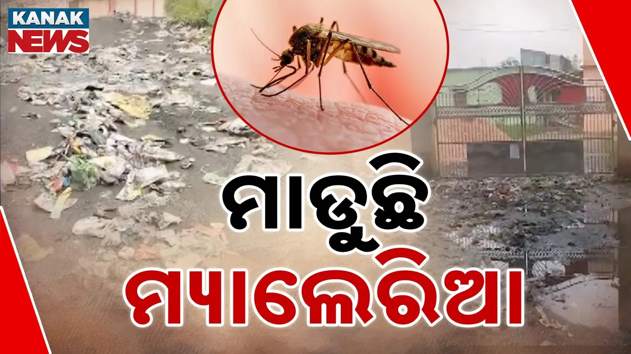 ଚିନ୍ତା ବଢ଼ାଇଲାଣି ମ୍ୟାଲେରିଆ ସଂକ୍ରମଣ ; ମାଲକାନଗିରି ପରେ ଏବେ ରାୟଗଡ଼ା, କନ୍ଧମାଳରେ ଅସମ୍ଭାଳ ସ୍ଥିତି