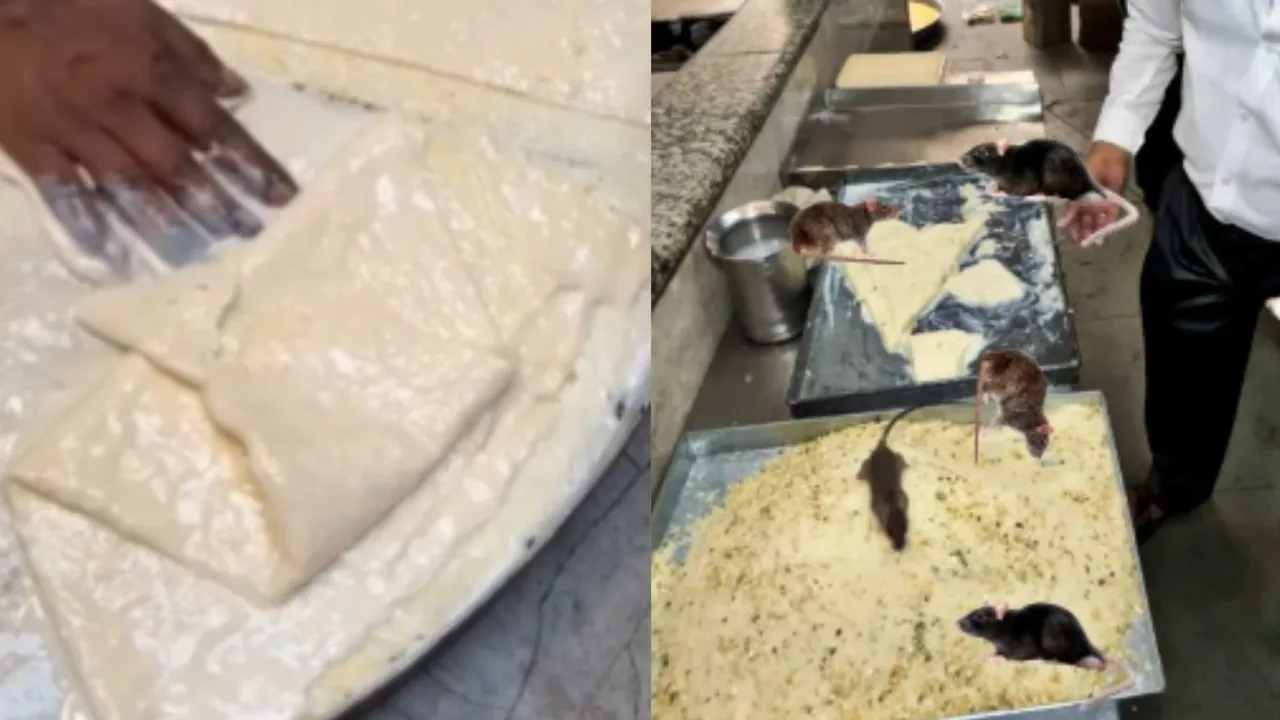  Rat-On-Malai-Makhan Photograph: (Google) 