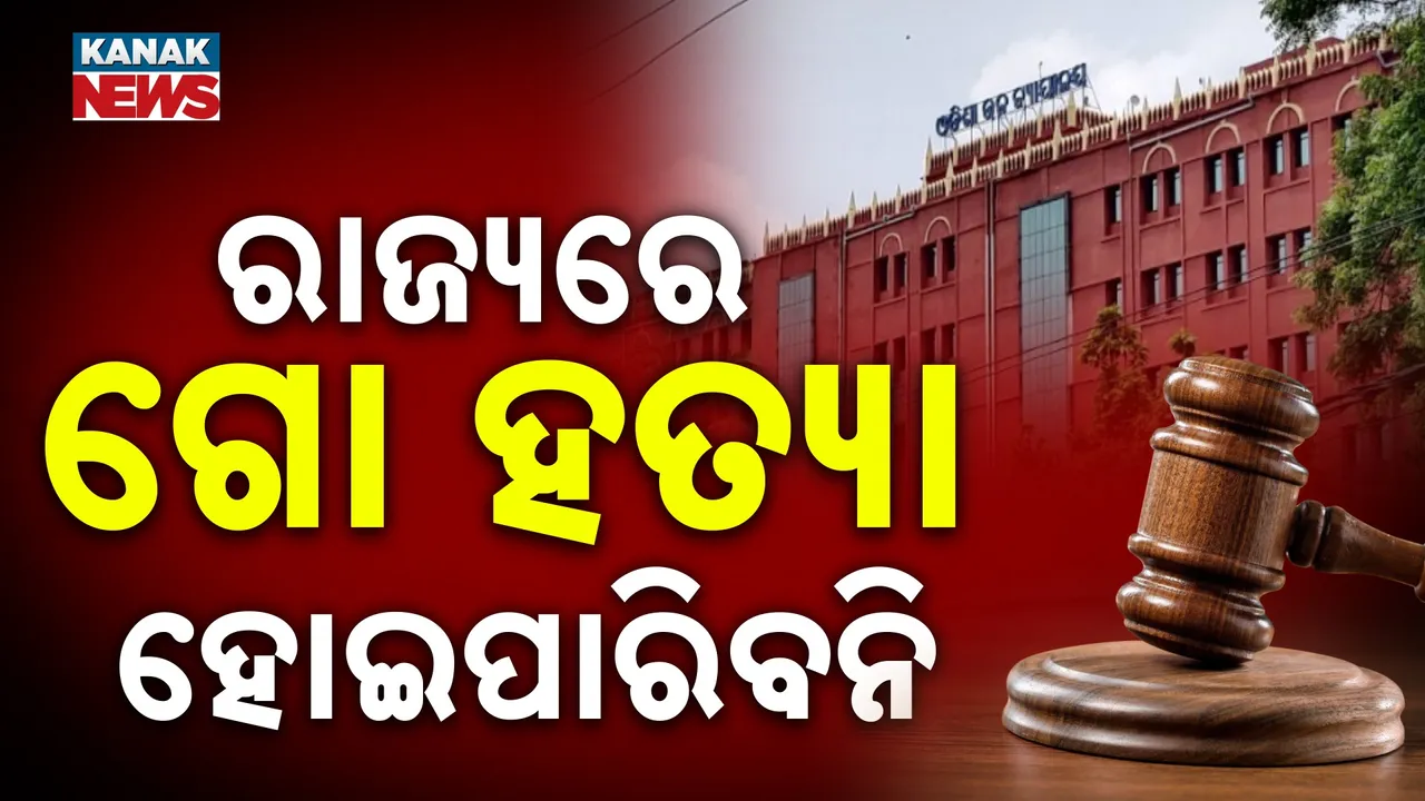  ରାଜ୍ୟରେ ହୋଇପାରିବନି ଗୋହତ୍ୟା : ରାଜ୍ୟସରକାରଙ୍କୁ ନିର୍ଦ୍ଦେଶ ଦେଲେ ହାଇକୋର୍ଟ