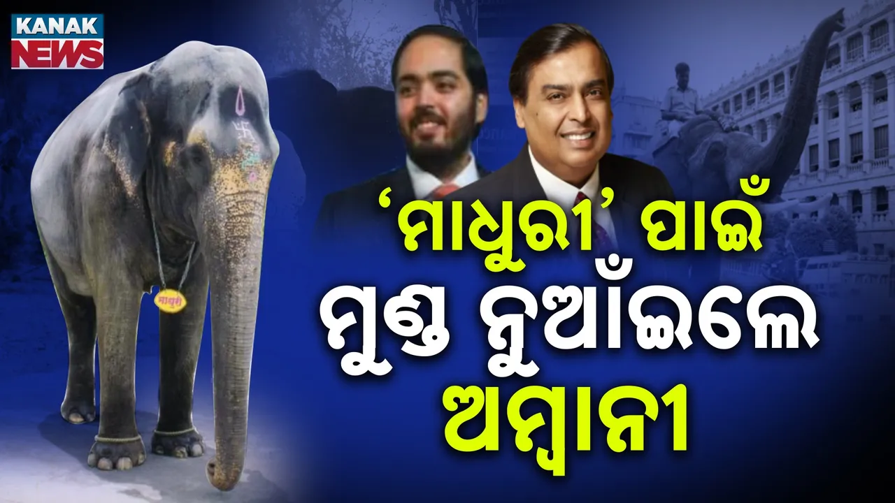  ‘ମାଧୁରୀ’ ଆଗରେ ମୁଣ୍ଡ ନୁଆଁଇଲା ଅମ୍ବାନୀ ପରିବାର, ବିବାଦ ବଢ଼ିବା ପରେ ସଫେଇ ରଖିଲା ‘ବନ୍ତାରା’