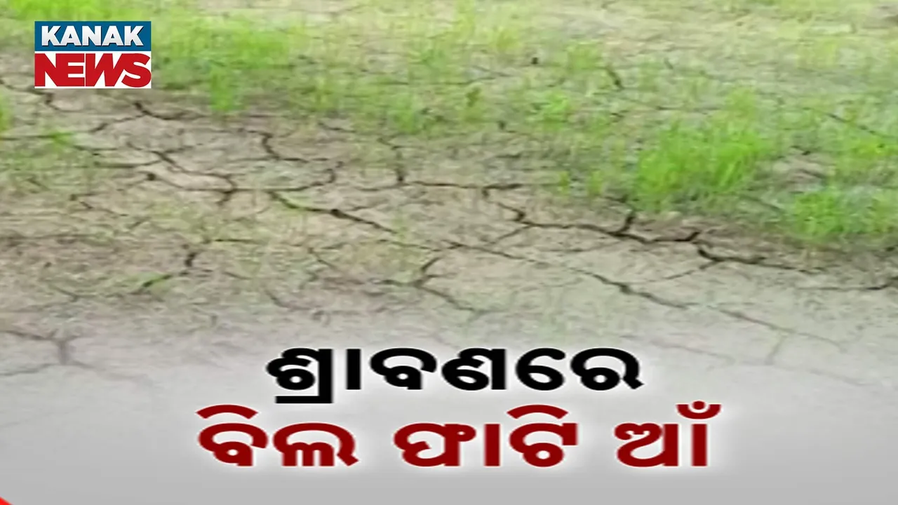  ଶ୍ରାବଣ ସରିଲା ହେଲେ ଶୁଖିଲା ପଡ଼ିଛି ଭୂଇଁ , ଟାଣ ଖରାରେ ପୋଡ଼ିଗଲାଣି ତଳି
