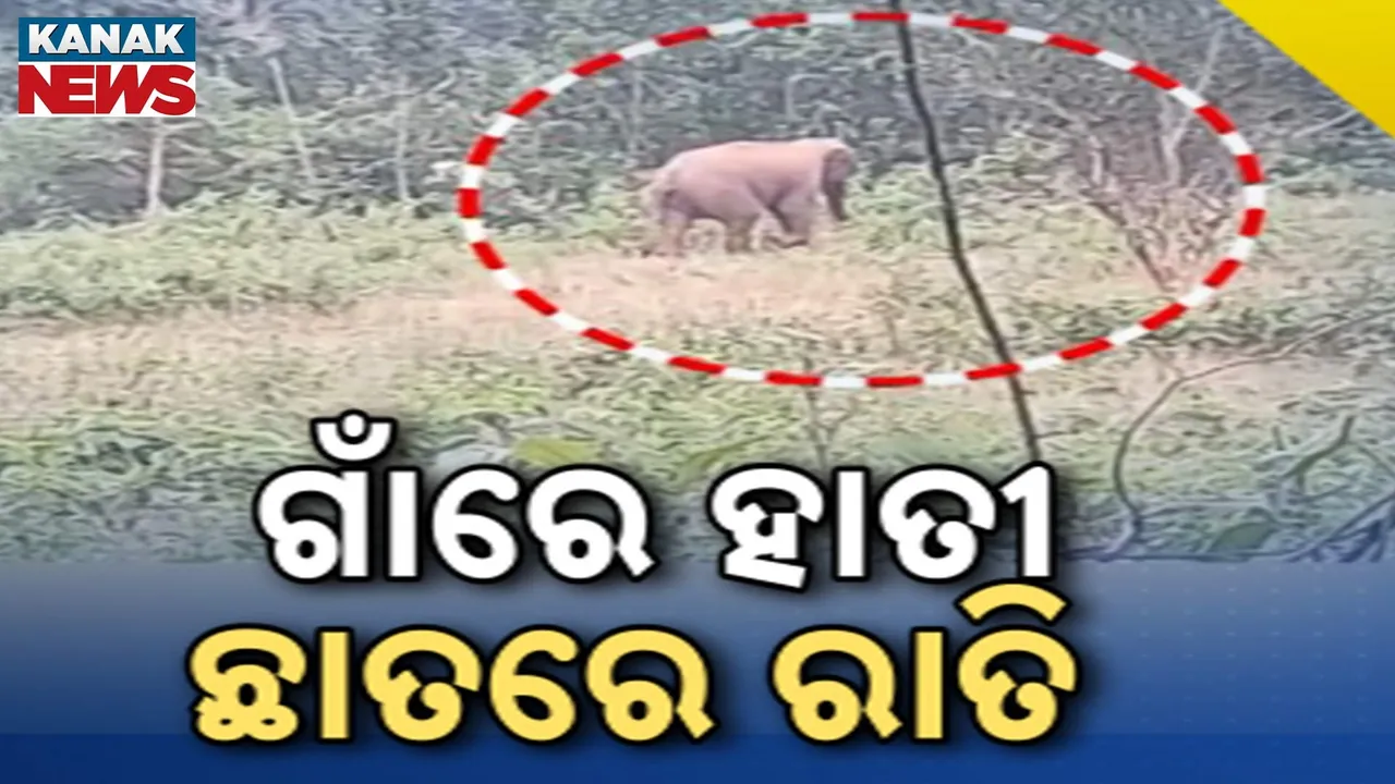  Photograph: (kanak news) 