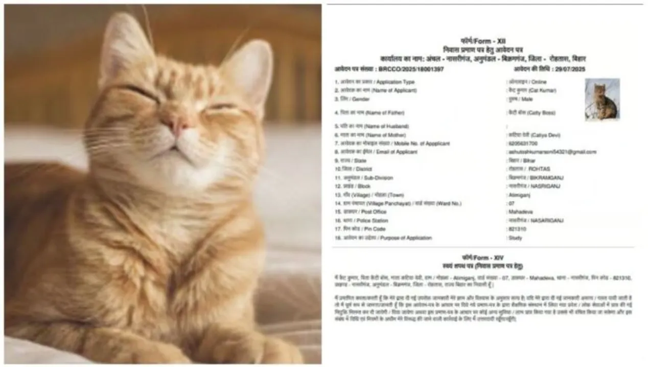  Photograph: (SOCIAL MEDIA) 