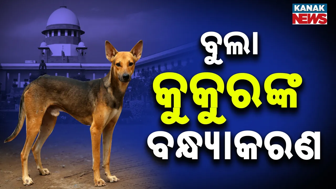  ବୁଲା କୁକୁର ଆତଙ୍କରୁ ମୁକ୍ତି, ନିୟନ୍ତ୍ରଣ ହେବ ବୁଲା କୁକୁରଙ୍କ ସଂଖ୍ୟା