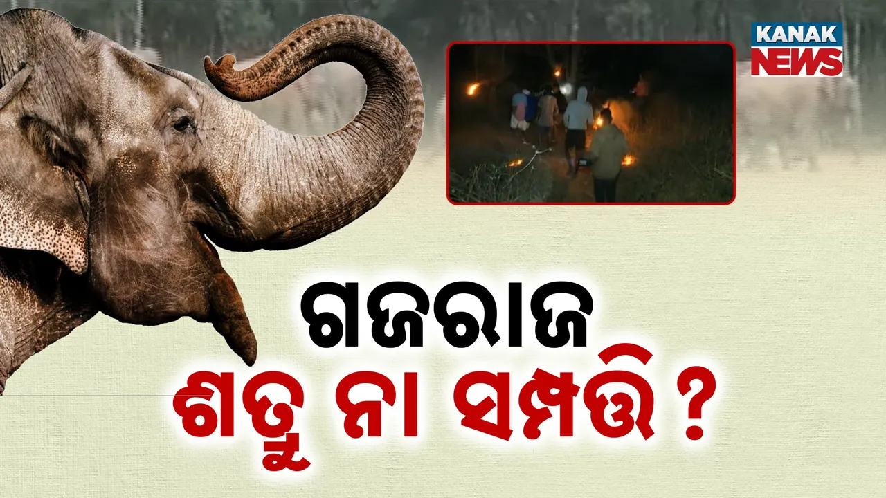  Photograph: (kanak news) 