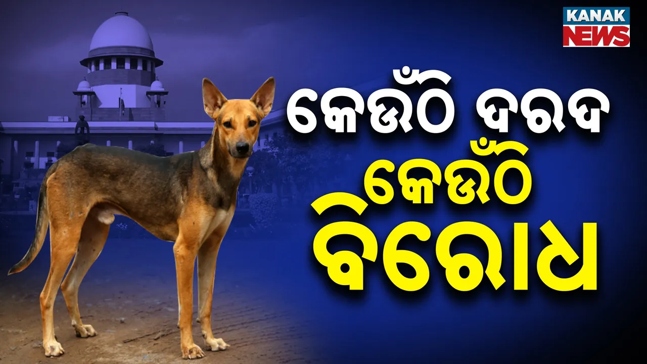  Photograph: (kanak news) 