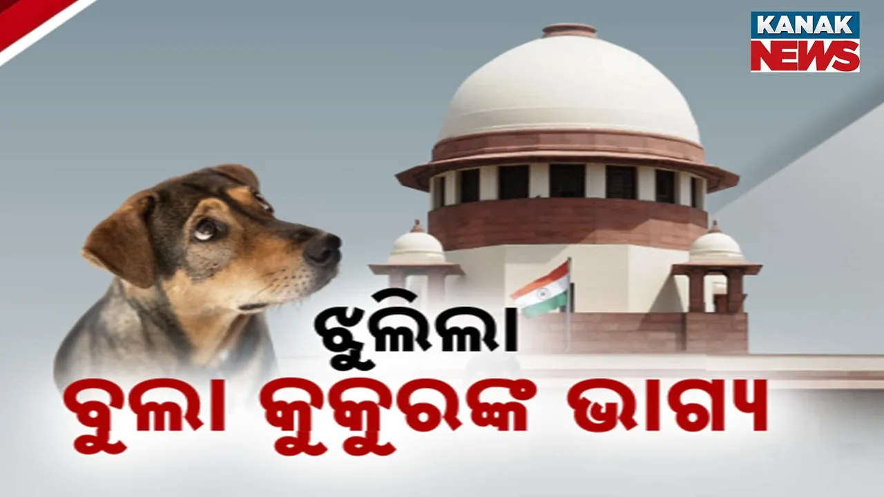  Photograph: (kanak news) 